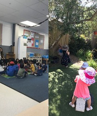 去新西兰幼儿园游学一个月