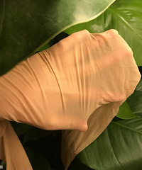 �ѵ�������Ĵ���໻�ϱ�˿�࣬�����۷�˿�����Զ�ĥƤ