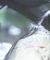 ��˼����Ů�Ѿ�Ȼ���ܽ�����