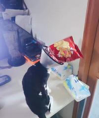 ץ��һ��͵�Ե���