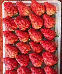 ����99���Ͳ�ݮ�Ź�71Ԫ3��������Ƴɲ�ݮ����