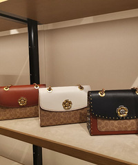 �����6��ϲ��coach�¿���������۹��Է���