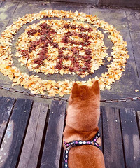 �����͵��Ҹ�����