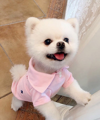 ������ֻ����ֵ����