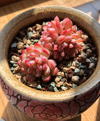 ���������ҵ�������