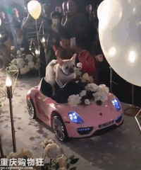 ����Ȥ���ͽ�ָ��ʽ