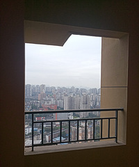 踩盘龙湖春森后续视野图片和视频