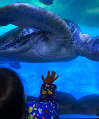 񵽳ɶˣƱֻҪ58ſ˼