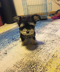 ���ӵĳɳ����̺ø�Ц