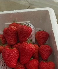 71Ԫ3ĲݮװʵյĶǺù