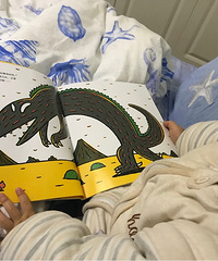 �汾�鵥�Ƽ�(2~3�꣩