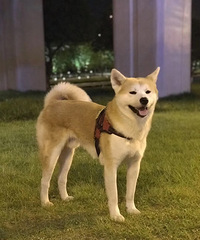 ���˼�������