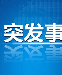 埃塞俄比亚一架载有157人的客机坠毁