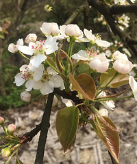 ʺϴ޶¶ӪտҰˡ¹ӵĺõط