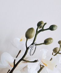 �ɻ����������������Ԥ������������䣿