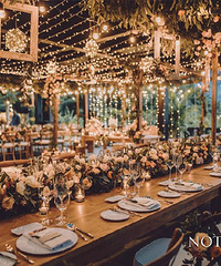 ����һЩ�ÿ���������о�����Ǯ��������