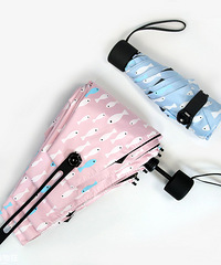 ����ֵ̫��ɡ����ɡ������ɡ���ţ�����10��ż�29Ԫ��