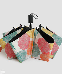 ¼Ϯֵ̫ɡֿſÿŻ10Ԫ