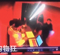 �����˶�ʤ���¼��Ŀ���