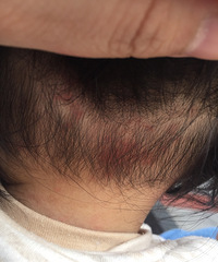 ֱͷƤֺɫߵ㣬᲻ʺ