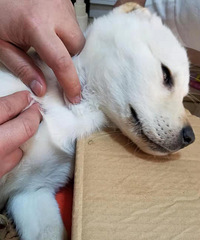 �������������������ˡ���