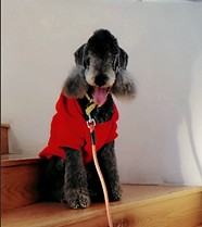 �ͱ��ֶ������ϧ������