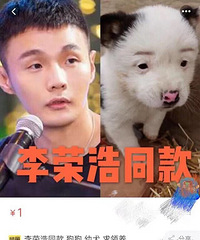 ���ٺ�ͬ�����һģһ����