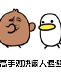 一线大花上位史