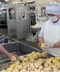 ɶУӳԷùʳƷձѧͣУҪȳ