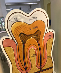 ޶ݲʰٷְ٣ҽƼPMTC