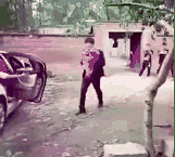 ������ܶ����ﶼ���׺��Ե���̬ϸ��