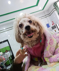 Я�ְ��������벡ħս��