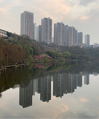 ��������Ĵ��ι�԰�Ƽ�-���ƺ�