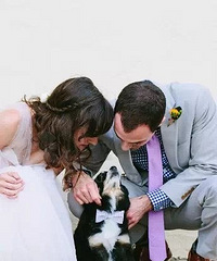 �ô��ȵ�����Ҳ��ϯ��Ļ��񣬺ò��ã�