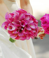 2019��3��21�Ž����𣿳�֤���ָ��