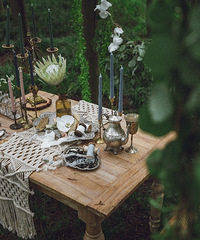 ȫҶ�ĵ����������ÿ�����ɭϵ������Ļ������