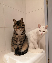 �о�����ֻ�������ǡ�