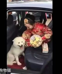 ��ĦҮˣ�����ϻ鳵����ޣ��᲻�������