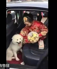 ��ĦҮˣ�����ϻ鳵����ޣ��᲻�������