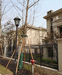 �����ã�Ҽ�ź���תת