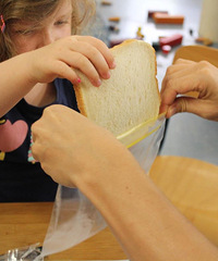 Ѻڰ׶԰ϵĿѧΣױʦĴ۷