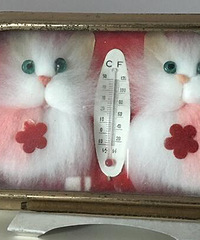 你家里还有用了几十年的老物件吗?