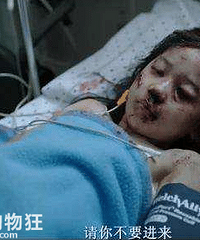 ���������Զ�˳2020�꽫���ͷ�