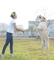 ���빷���ġ���Ե��