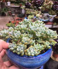 �������⣬��С����