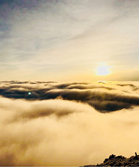 ����ͬ�л���ɽ������������������ɽ������