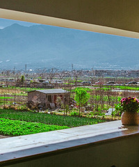 ������ᡪ������������������+2019���μ�