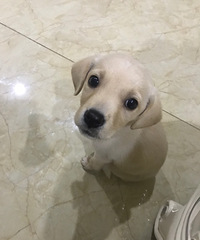 ������ֻ�ȸ�������