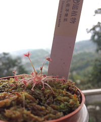 ��ȸé��˿�ʼ�Գ�����