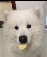 ͵������Ĺ�